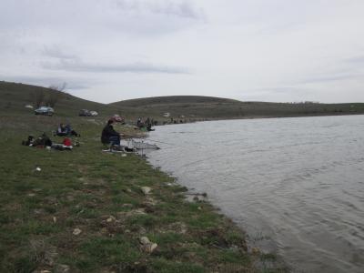 Прикрепленное изображение: IMG_0648.JPG